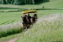 Familie und Co