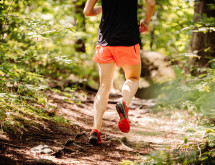 Hirsch Cross Challenge